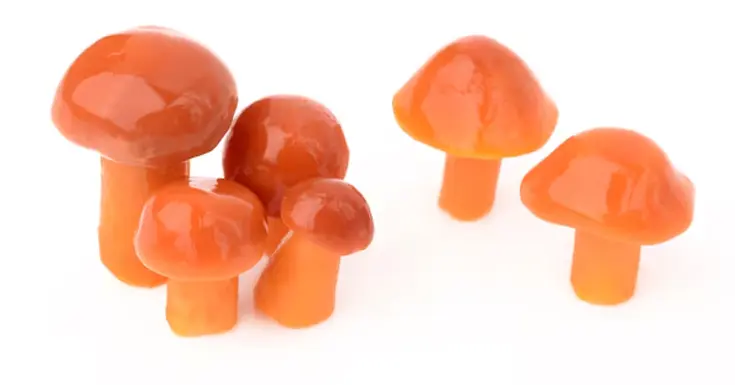 Les meilleures gommes à mâcher aux champignons pour les fonctions cognitives