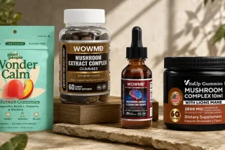 6 Best Mushroom Supplements 2026 for Brain Health, Energy, and Daily Wellness
