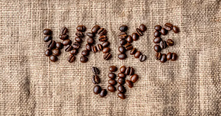 best premium coffee beans for cold brew