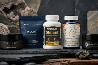 Die 12 besten Shilajit-Nahrungsergänzungsmittel für Energie und Ausdauer 2026