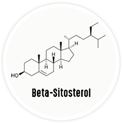 Beta-Sitosterol Complex Beta-Sitosterol Complex