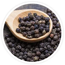 BioPerine