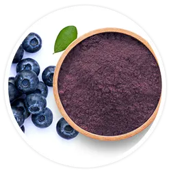 Blueberry Extract Blueberry Extract