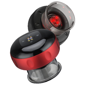 Brain Training For Dogs