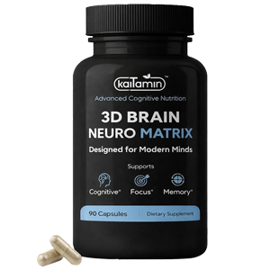 Gehirn-Neuro-Matrix