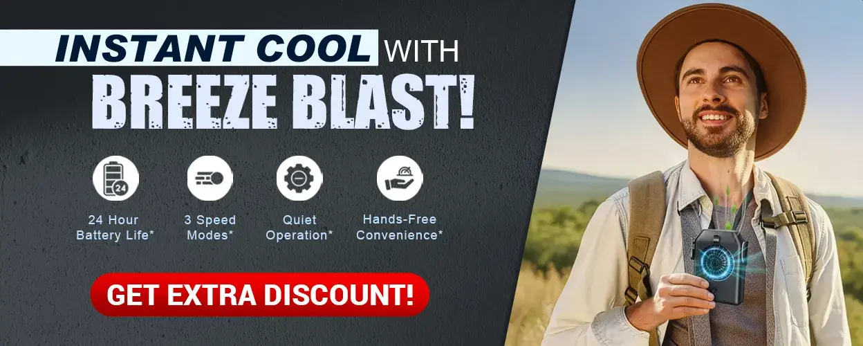 Breeze Blast Fan