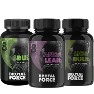 Brutal Force