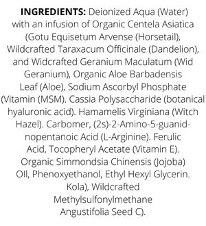 c serum 22 supplement facts