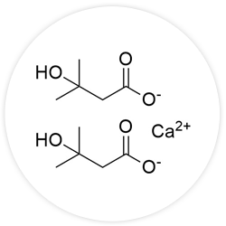 myHMB (3000 mg) (Calcium beta hydroxy beta methyl butyrate) myHMB (3000 mg) (Calcium beta hydroxy beta methyl butyrate)