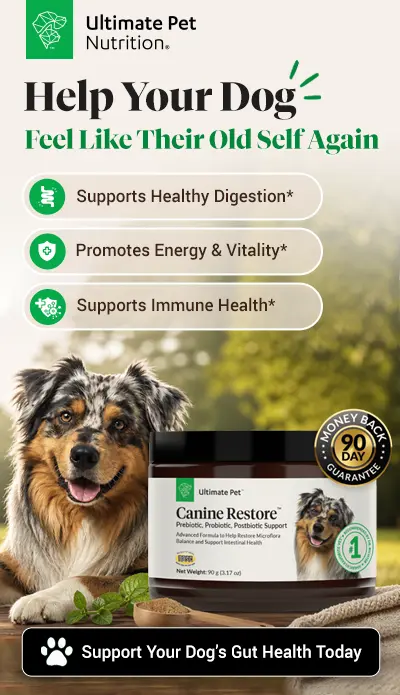 Canine Restore