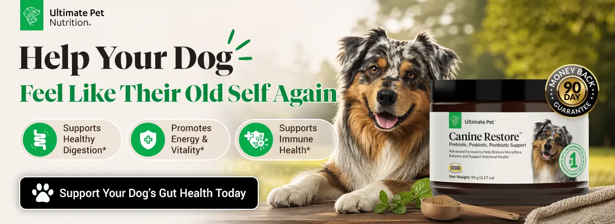 Canine Restore