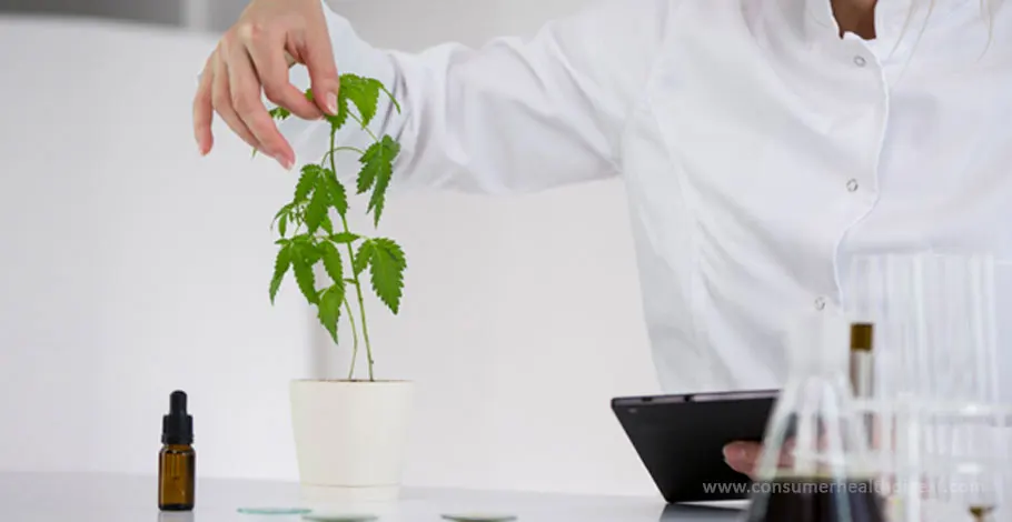 CBD Potency, Certification and Safety: What You Should Know
