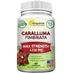 Avis sur Caralluma Fimbriata – Ce que vous devez savoir