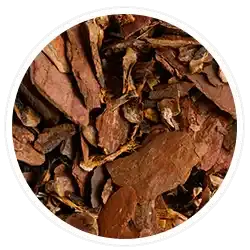 Cascara Sagrada Bark