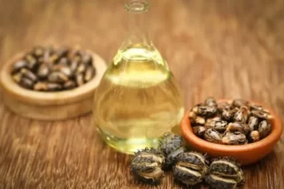 Castor Oil Help Eyelashes Grow Back – Does It Really Work?