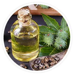 Castor Oil Castor Oil
