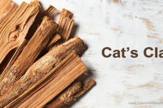 Cat’s Claw: The Amazon Tropical Vine With Powerful Health Properties