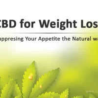 cbd for weight loss
