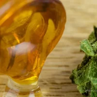 health benefits of cannabidiol oil