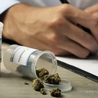 charlotte’s web cbd oil