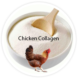 Colágeno de pollo