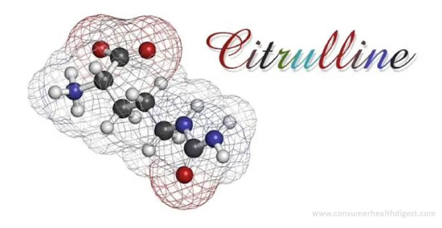 Citrulline : tout savoir sur cet ingrédient !