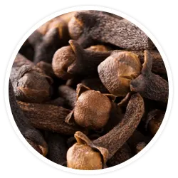 Clove Bud