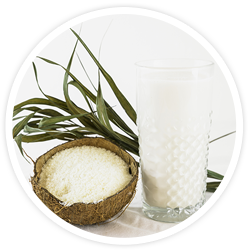 Coconut cream powder