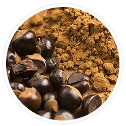 Neurofactor whole coffee fruit Neurofactor whole coffee fruit