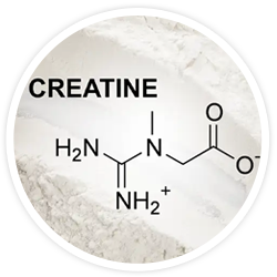 Creatine monohydrate Creatine monohydrate