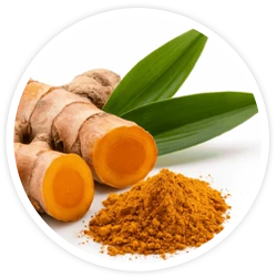 Organic Curcumin Longa Organic Curcumin Longa