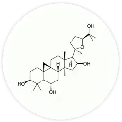 Cycloastragenol Cycloastragenol