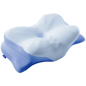 Derila Ergo Memory Foam Pillow Review: Does It EasePain?