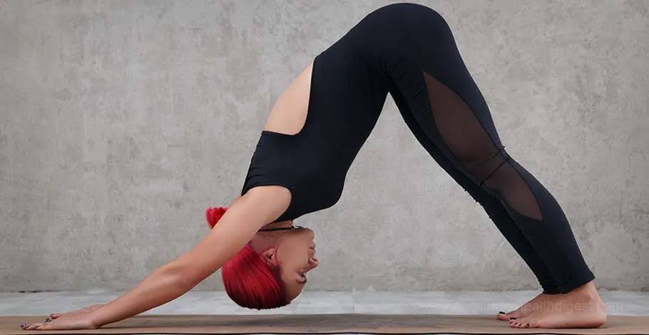 dolphin yoga pose