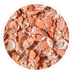 Eggshell Membrane Collagen Peptides Eggshell Membrane Collagen Peptides