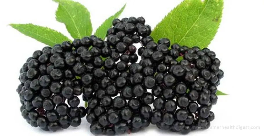 Elderberry: Health Benefits, Side Effects, Dosage And More