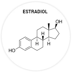 Estradiol Estradiol