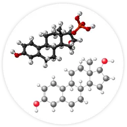 Estriol et estradiol Estriol et estradiol