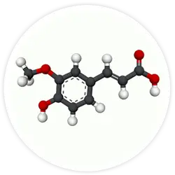 Ferulic Acid Lipid Encapsulated Anti-oxidants Ferulic Acid Lipid Encapsulated Anti-oxidants