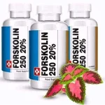 Reseñas de Forskolin 250: ¿Cuánto tiempo tarda en mostrar resultados?