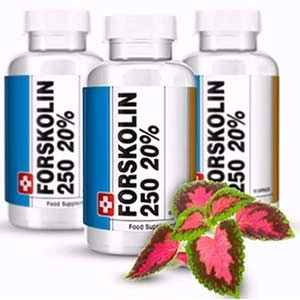 Forskolin 250 Reviews – How Long Does It Takes to Show Results?