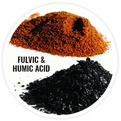 Complejo de ácidos fúlvicos y húmicos Rejen™ Complejo de ácidos fúlvicos y húmicos Rejen™