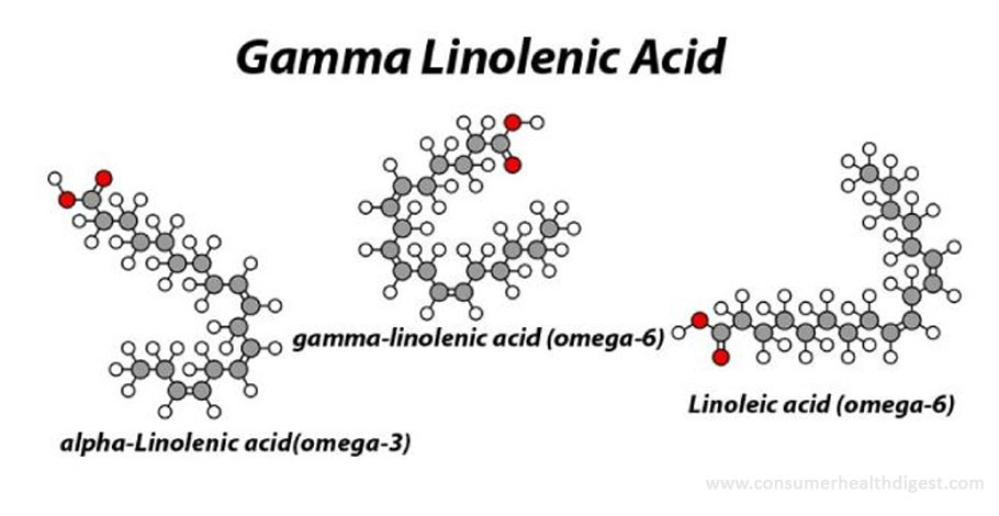 Gamma Linolenic Acid: Recommendations, Side Effects and Interactions