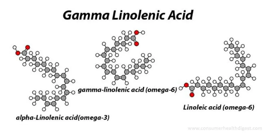 Ácido gama linolênico: recomendações, efeitos colaterais e interações