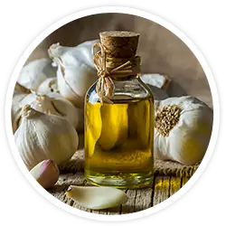 Garlic Oil Garlic Oil