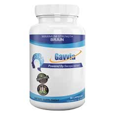 Gavvia Brain
