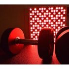 GembaRed Groove Red & NIR LED Light Panel GembaRed Groove Red & NIR LED Light Panel
