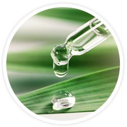 Glycerin Glycerin