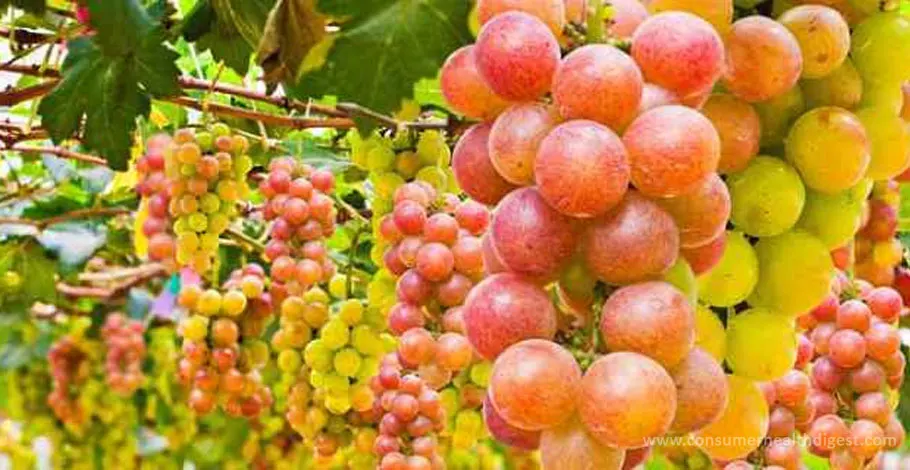 Extracto de semilla de uva: beneficios, efectos secundarios, interacciones y más