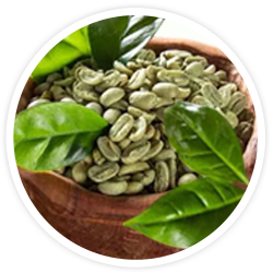 Green Coffee Green Coffee